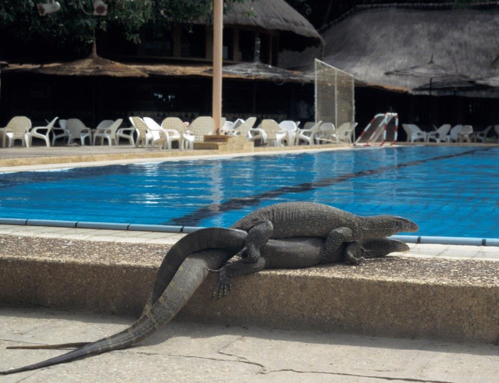 Senegal - Aldiana - 1995